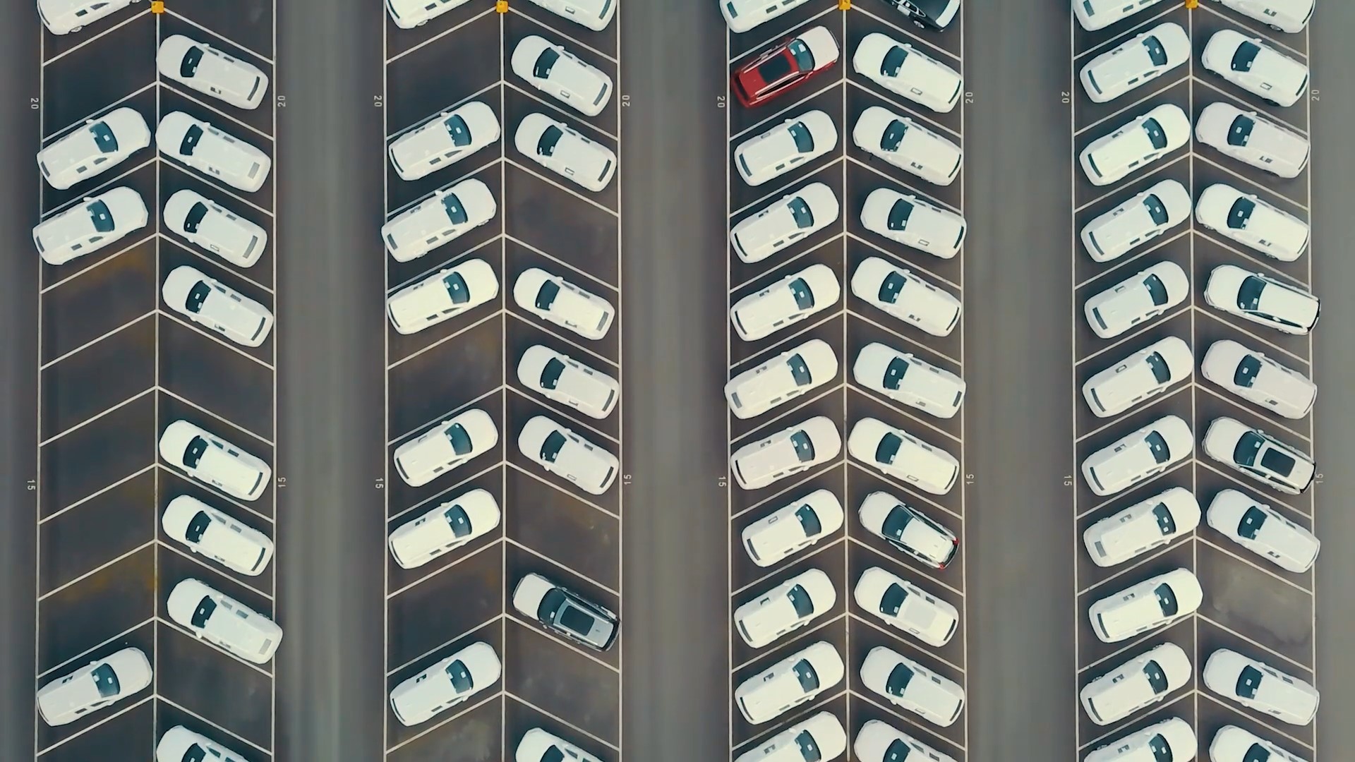 A parking lot filled with mostly white cars parked in a fish bone pattern.