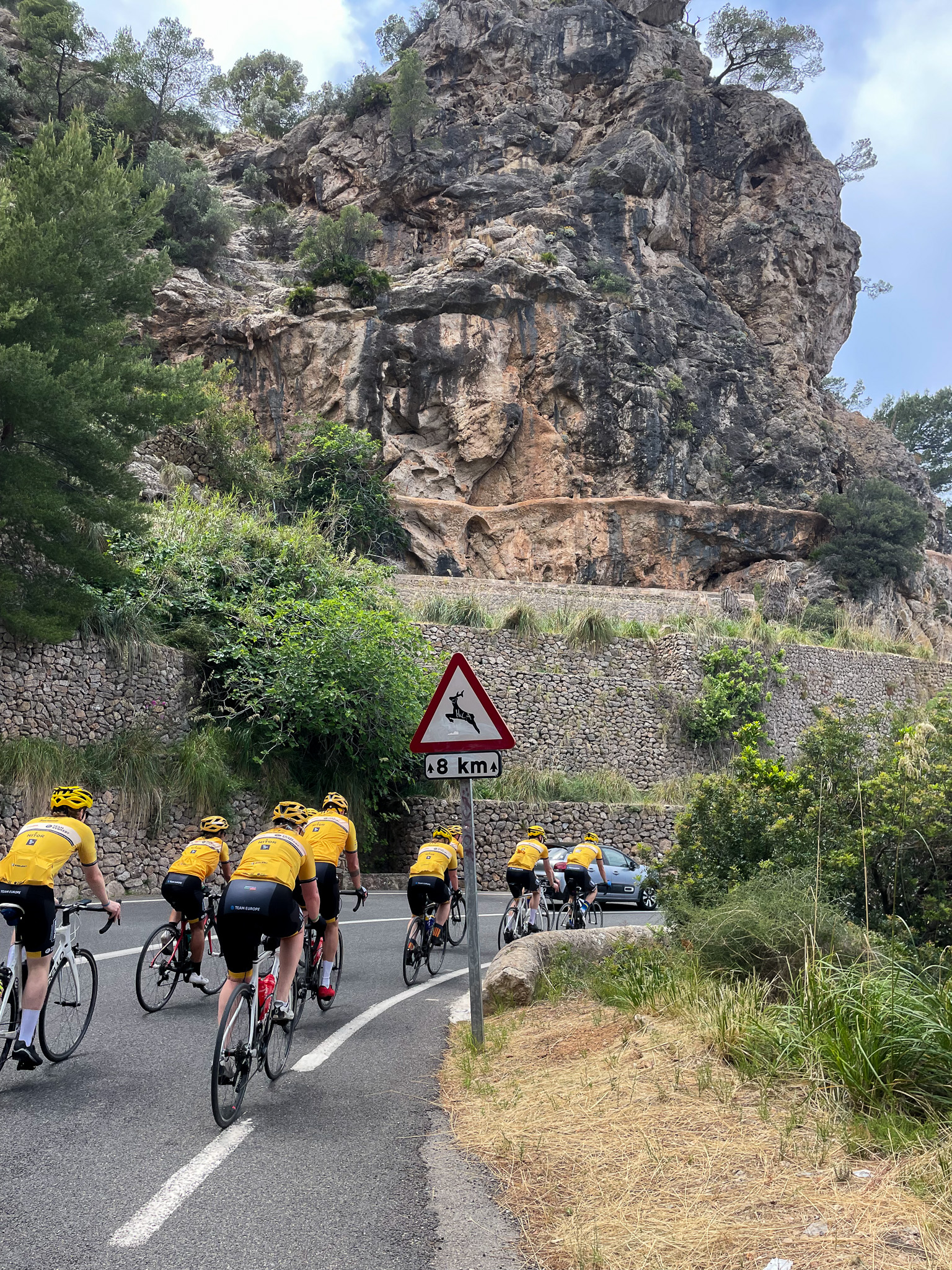 Team Rynkeby cyklar på Mallorca
