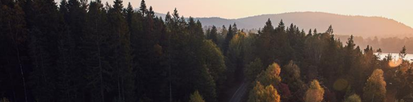 Zasady zielonego biura