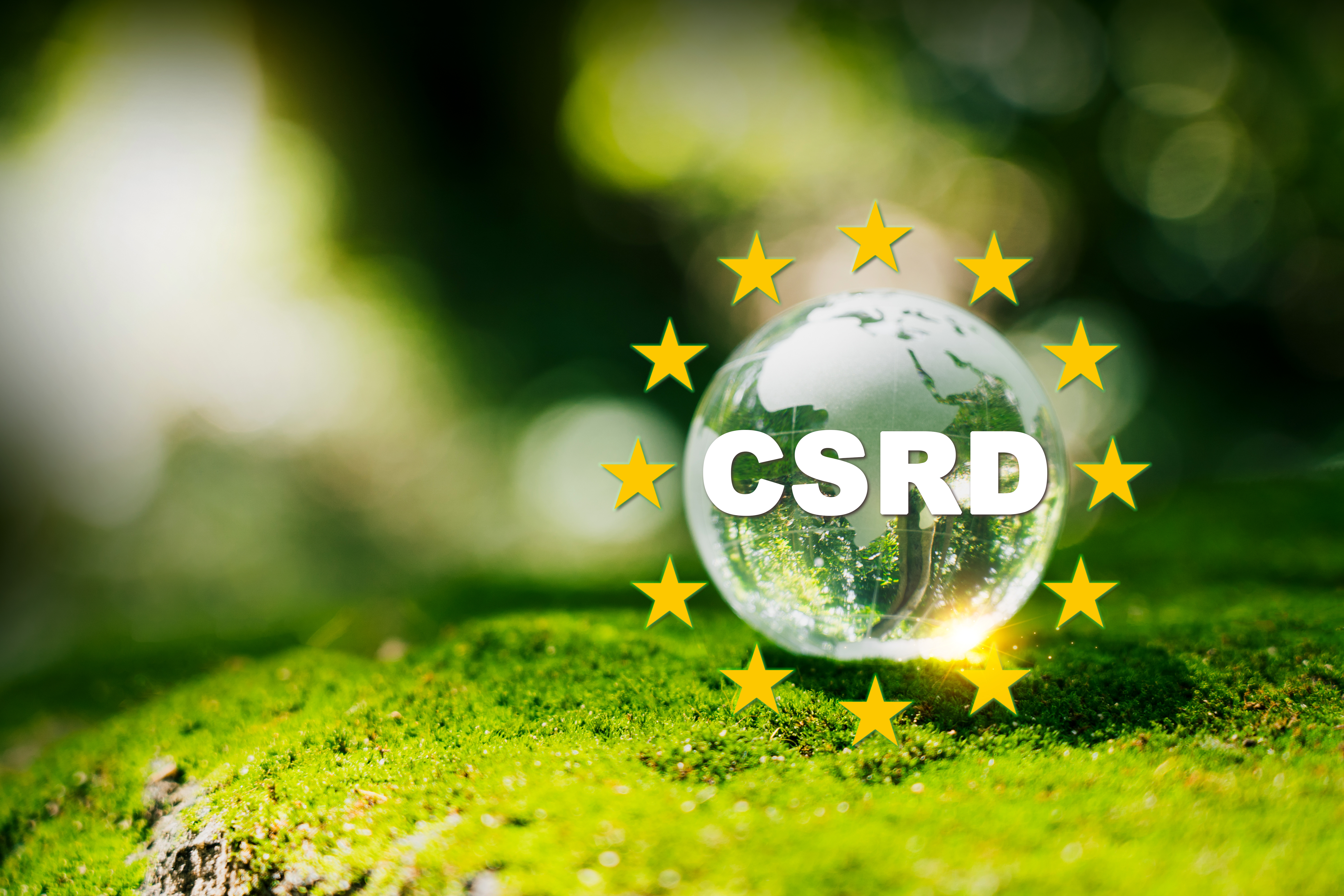 CSRD status