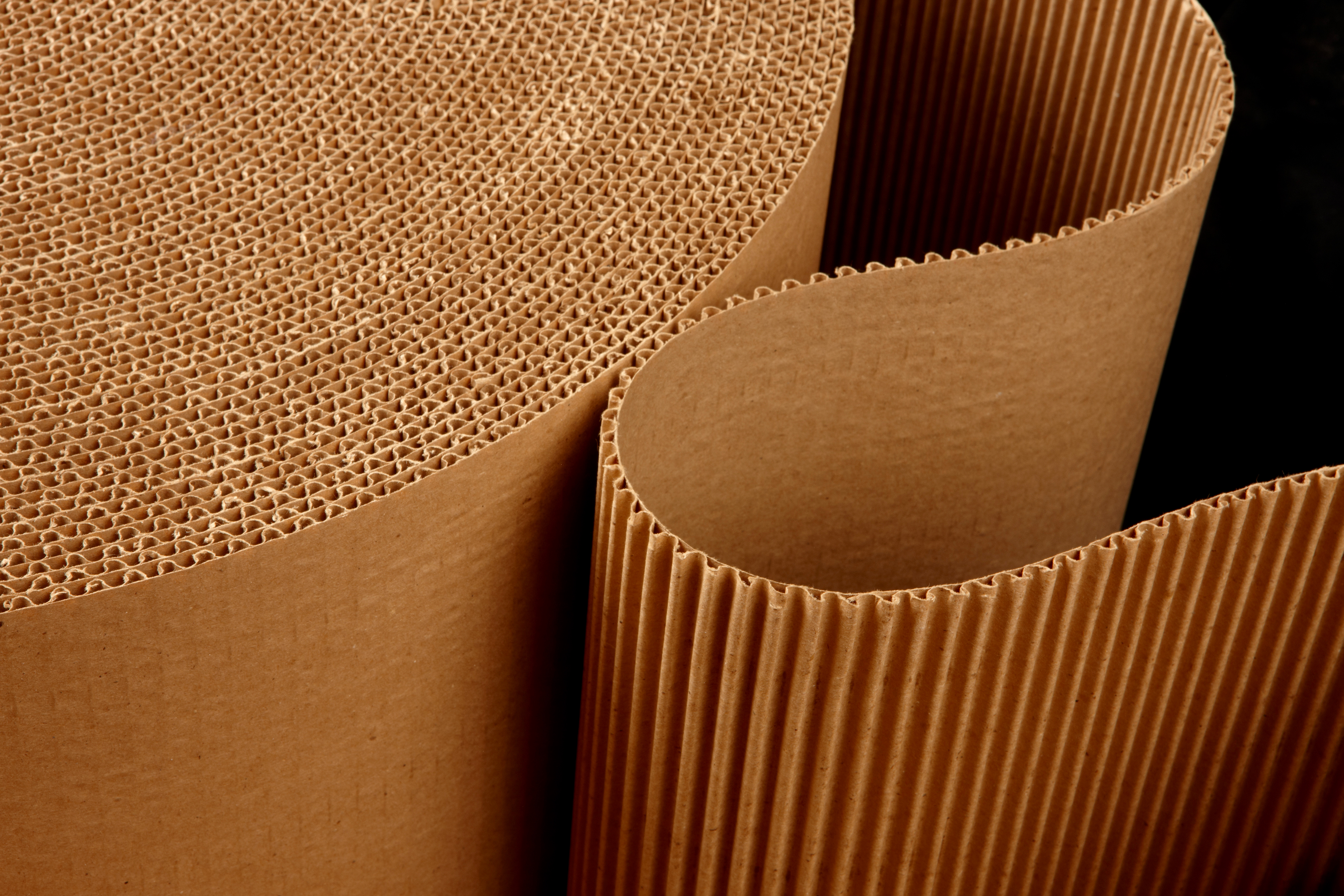 Paper roll.