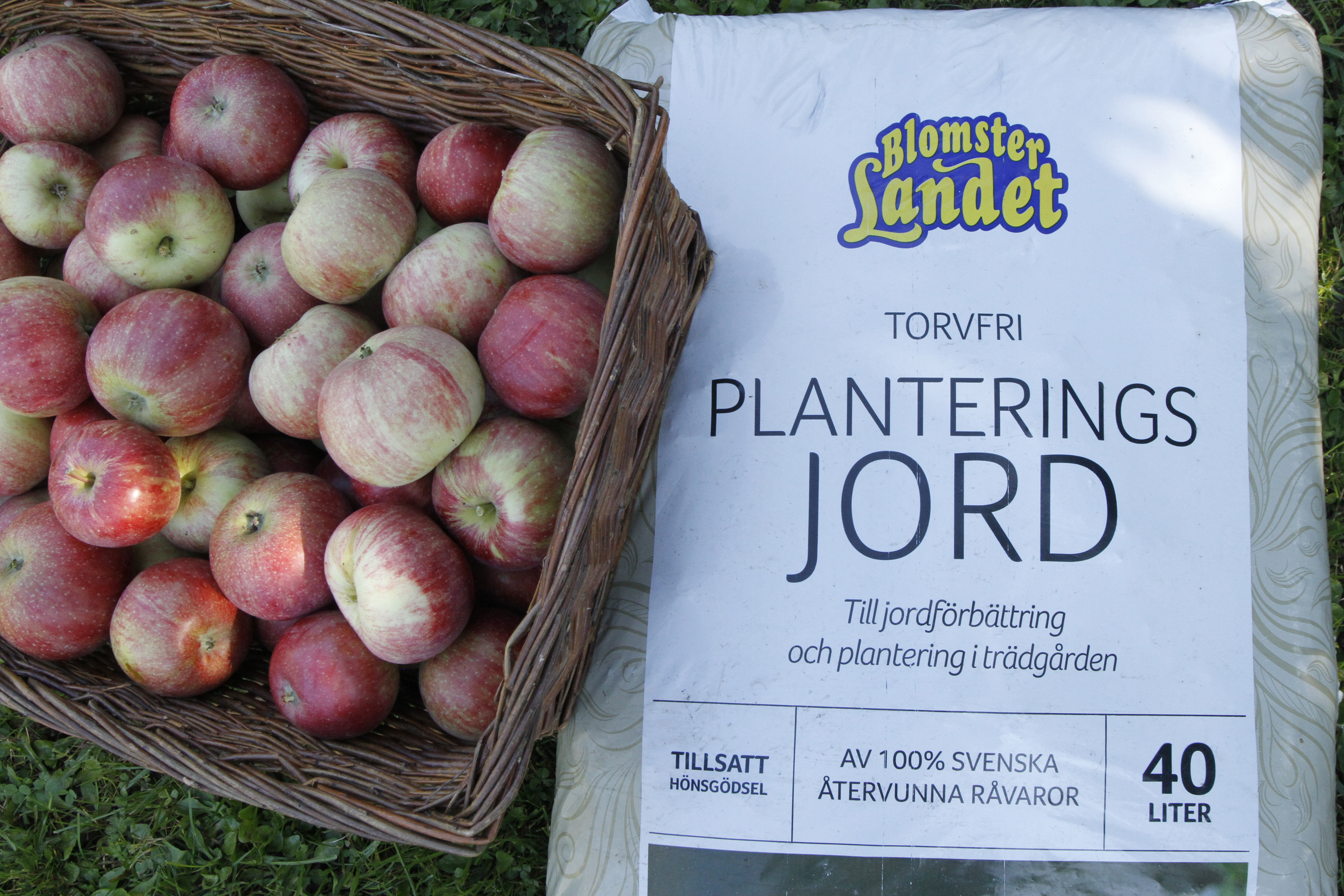 Äpplen och en säck med planteringsjord från Blomsterlandet