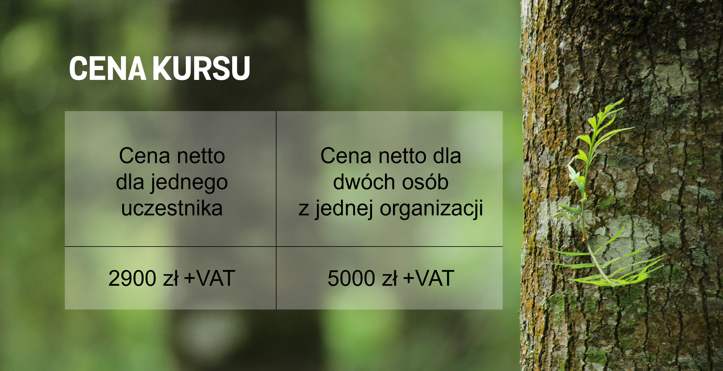 kurs Lider Cyrkularnosci