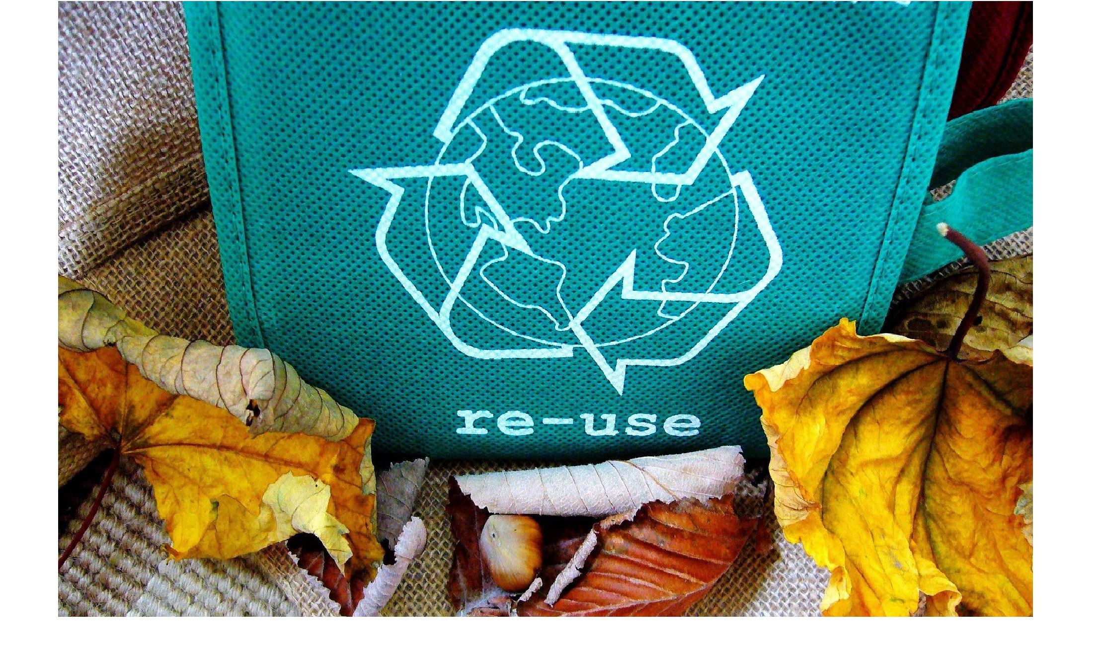 Nagroda główna dla Anny Kozieł w konkursie Stena Circular Economy Award (SCEA)