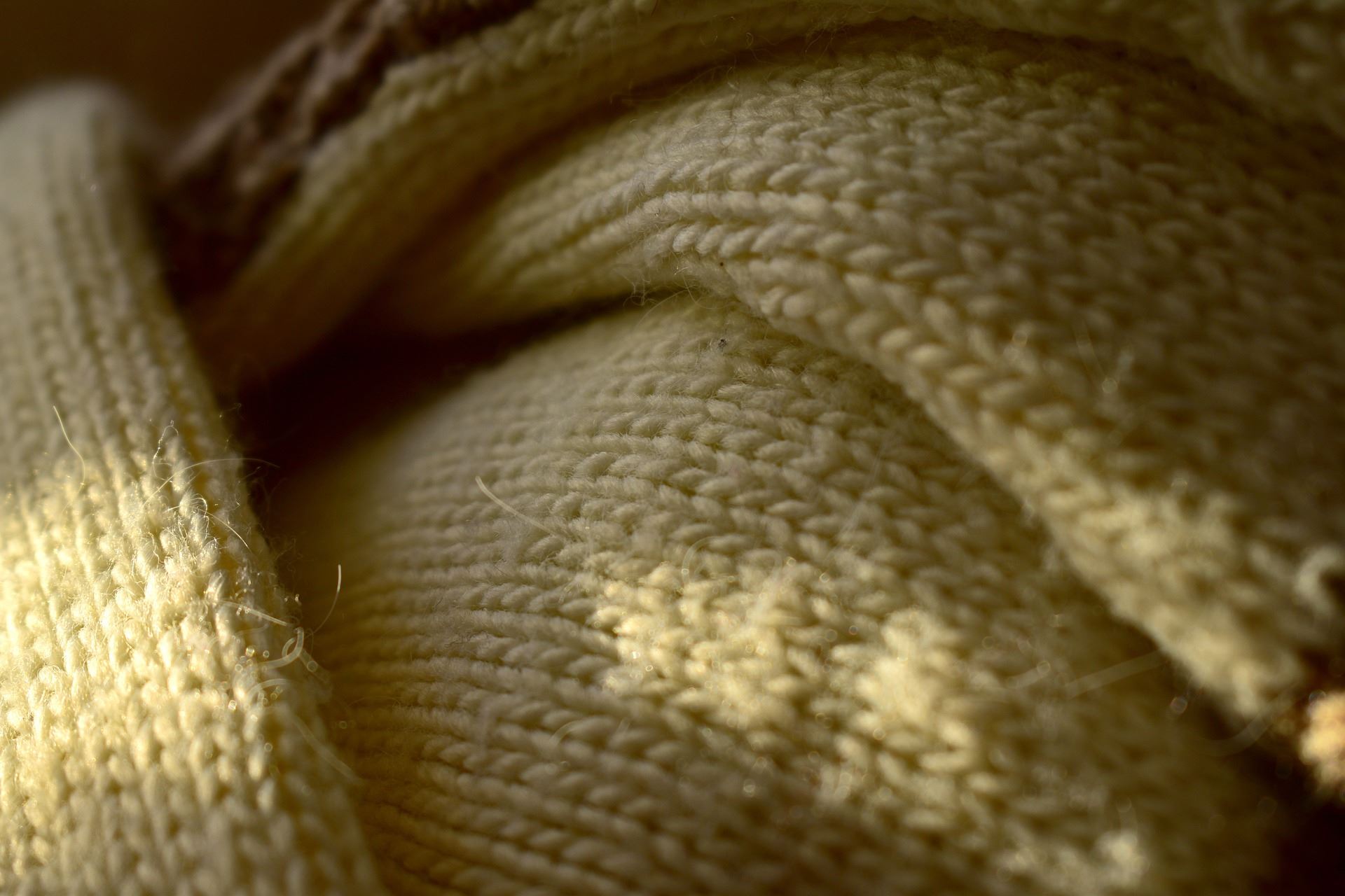 Nagroda główna dla Marleny Idczak i Klementyny Folwarczyk w konkursie Stena Circular Economy Award (SCEA)